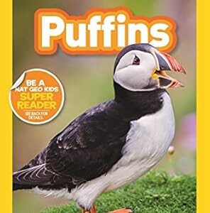 Puffins (National Geographic Kids Readers, Pre-Reader)